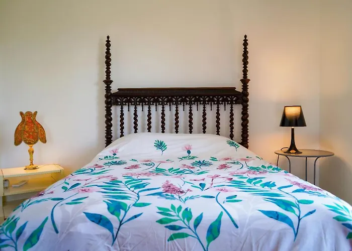 Tatil Evi Avo Bolachas House